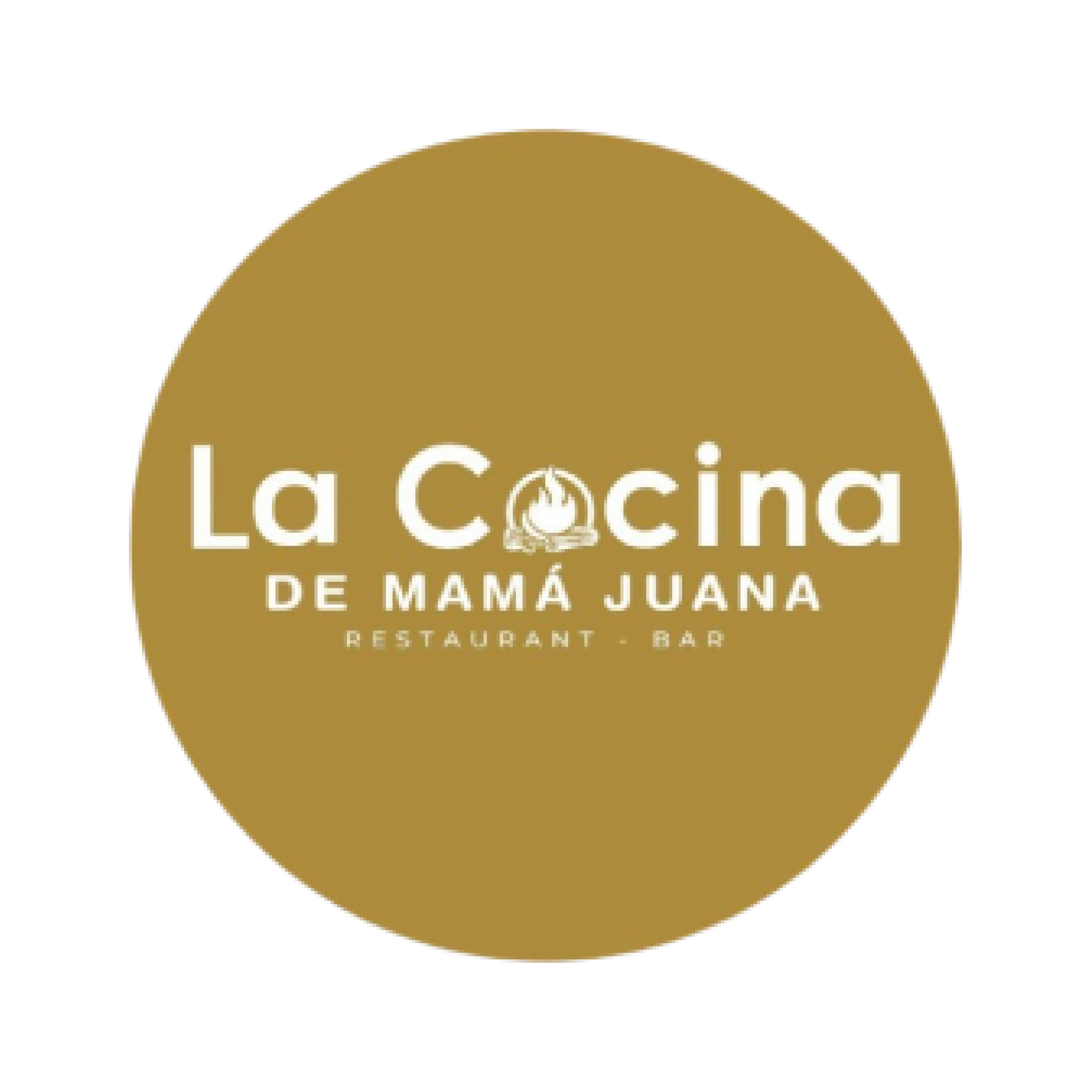 Sin título-1logosn_Mesa de trabajo 1 copia 15